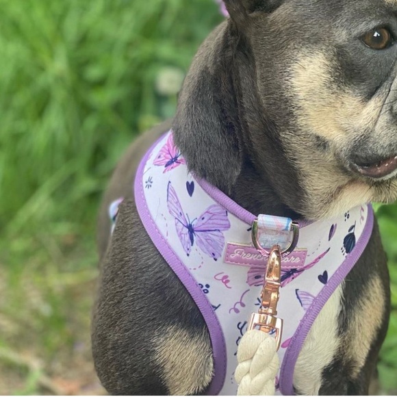 Fashion Dog Harness - Picture 2 of 3